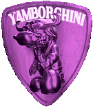 YAMBORGHINI SHOP